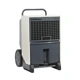 Dantherm CDT 40S Professional Dehumidifier