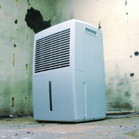 Basement Dehumidifiers