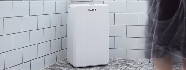 Which Dehumidifier Do I Need?