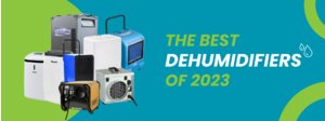 Best Dehumidifiers of 2023 to Get Rid of Damp and Mouldy Smells